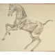 Paire de dessins anatomiques de chevaux