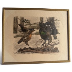 Engraving entitled ‘Rooster, Hen and Young Rooster’, signed HAINARD
