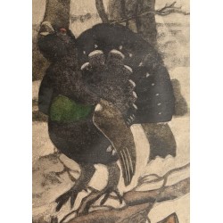 Gravure "Coq, poule et jeune coq" signée HAINARD