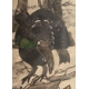 Gravure "Coq, poule et jeune coq" signée HAINARD