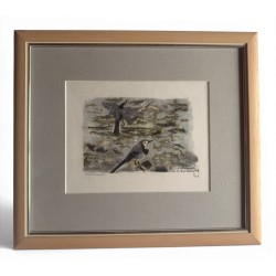 Engraving entitled ‘Grey Wagtails’, signed HAINARD