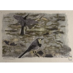 Gravure "Bergeronnettes grises" signée HAINARD