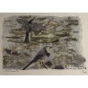 Gravure "Bergeronnettes grises" signée HAINARD