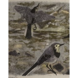 Gravure "Bergeronnettes grises" signée HAINARD
