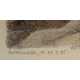 Gravure "Renardeau" signée COSANDEY