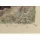 Gravure "Renardeau" signée COSANDEY