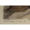 Gravure "Renardeau" signée COSANDEY
