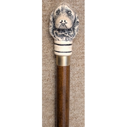Walking stick with a ‘dog’s head’ knob
