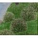 Tableau "Cheval et rivière" signé J BENOIT 71