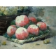 Paire de tableaux "Fruits" signées H. AUBERT
