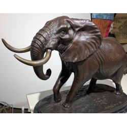 Bronze "Bull elephant" signé D. SCHAEFER