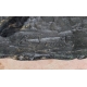 Bronze "Moine sur son âne" signé E. SANVITO