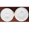 Paire de coupes en opaline décor doré