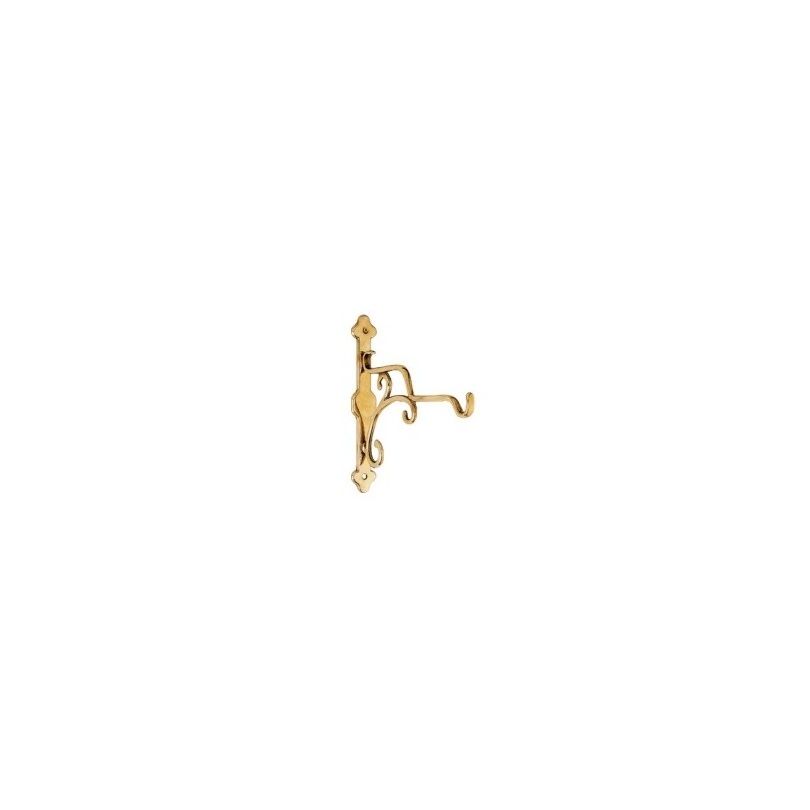 Polished brass wall hook
