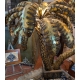 Lampe Palmier Maison Jansen XXL en laiton