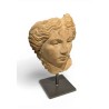 Tête d\'après l\'antique en terre cuite