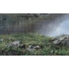 Tableau "Lac de montagne" signé J. JEQUIER