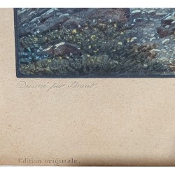 Gravure "Rosenlaui" par STRAUB