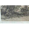 Gravure "Thonon" par BENOIST