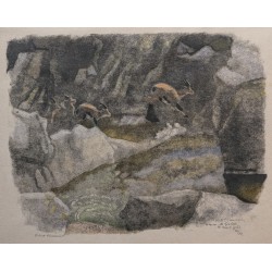 Gravure "Bouquetins d'Espagne" signée HAINARD
