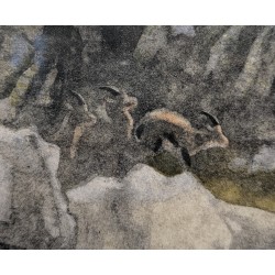 Gravure "Bouquetins d'Espagne" signée HAINARD