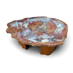 Table basse plateau en bois pétrifié