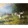 Tableau "Chèvres" signé