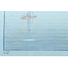 Gravure aquarellée "Chillon" par RIETER
