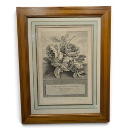 Gravure "Fleurs" par P.F. TARDIEU