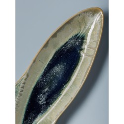 Plat poisson allongé Nuance