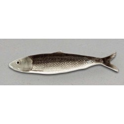 Plat allongé sardine
