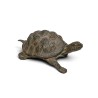 Tortue en bronze