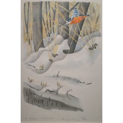 Gravure "Martin-pécheur" signée COSENDAY