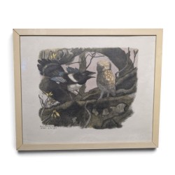 Xylographie "Chevêche et pie" par Robert HAINARD