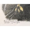 Xylographie "Chevêche et pie" par Robert HAINARD
