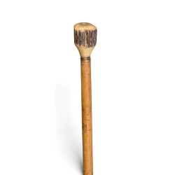 Canne pommeau en corne de cerf