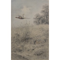 Dessin "Faisan et lapin" signé X DE PORET