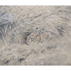 Dessin "Faisan et lapin" signé X DE PORET