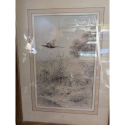 Dessin "Faisan et lapin" signé X DE PORET