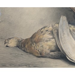 Dessin "Nature morte" signé X DE PORET