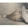 Dessin "Nature morte" signé X DE PORET