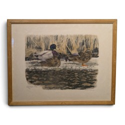 Gravure "Colverts sur la glace" signée HAINARD
