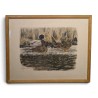Gravure "Colverts sur la glace" signée HAINARD