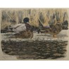 Gravure "Colverts sur la glace" signée HAINARD