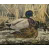 Gravure "Colverts sur la glace" signée HAINARD