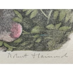 Gravure "Aire de Grands-ducs" signée HAINARD