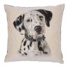 Coussin "Dalmatien"
