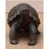 Grande tortue en bois sculpté