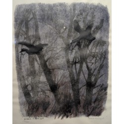 Gravure "Canards et étoile" signée HAINARD