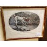 Engraving entitled ‘The Spaniel Pointing a Pheasant’ by Moinat SA – Antiques and decorative items – Engravings, lithographs